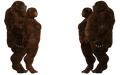 Thumbnail for version as of 11:04, 2 June 2025