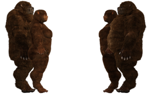 UrsidSide.png