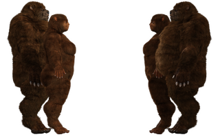 UrsidSide.png