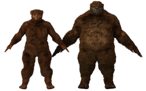 UrsidFront.png