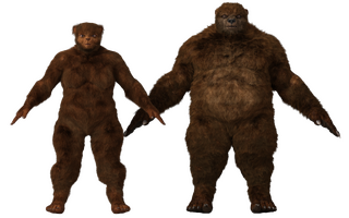 UrsidFront.png
