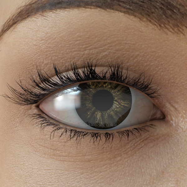 File:BrownIrisColor.png