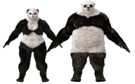 Panda Ursid Front View