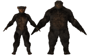 CommonUrsid.png