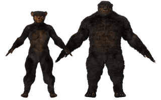 CommonUrsid.png