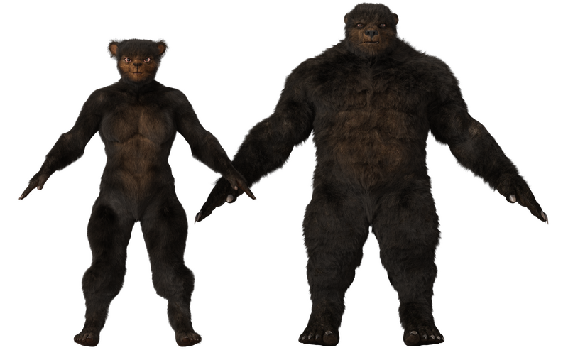 File:CommonUrsid.png