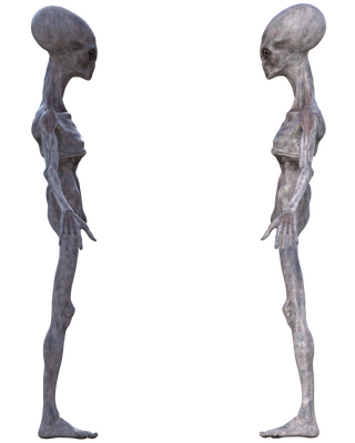 XetanSide.png