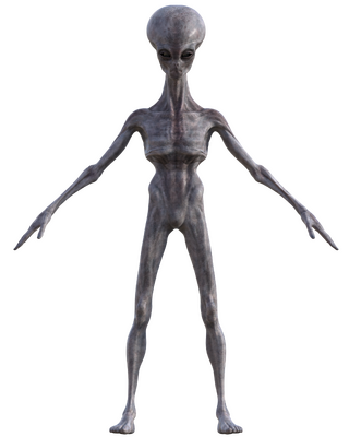 XetanFront.png