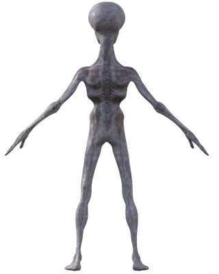 XetanBack.png