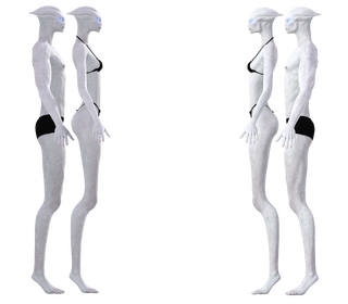 PurebloodValdianSide.png