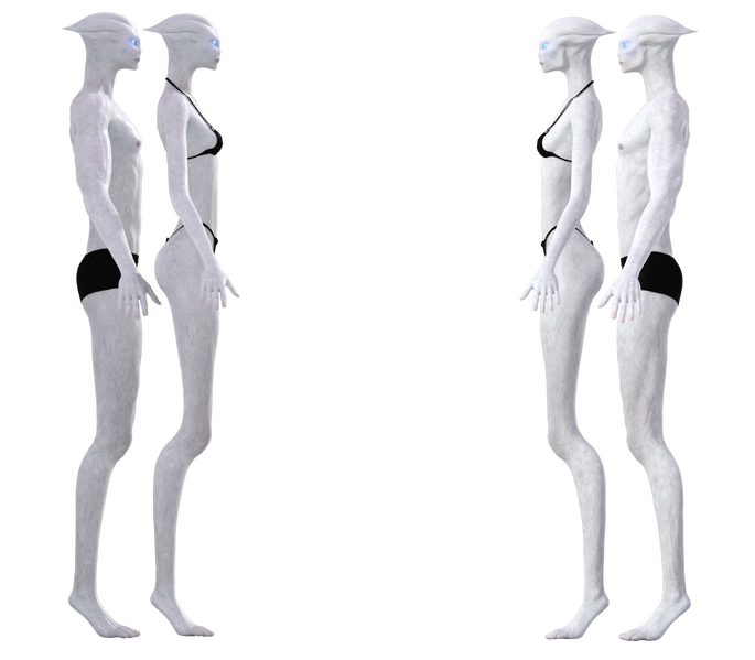 File:PurebloodValdianSide.png