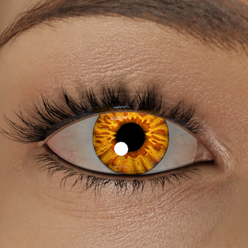 Amber Iris