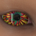 Thumbnail for version as of 05:43, 17 March 2025