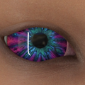 Thumbnail for version as of 05:44, 17 March 2025