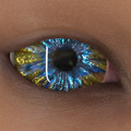 Thumbnail for version as of 05:40, 17 March 2025
