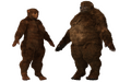 Thumbnail for version as of 11:05, 2 June 2025
