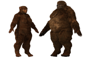 UrsidAngle.png