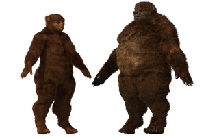 UrsidAngle.png
