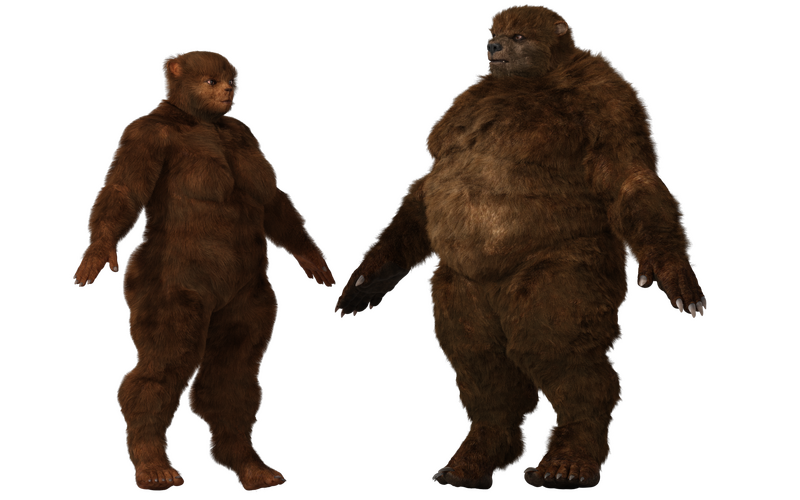File:UrsidAngle.png