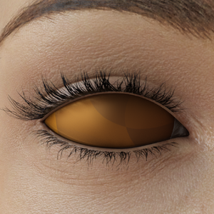 BrownFullEyeColor.png