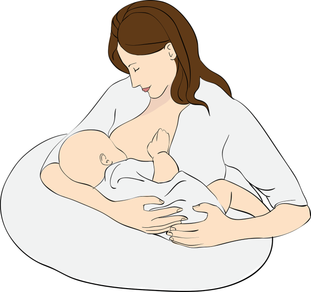 File:BreastFeeding.png