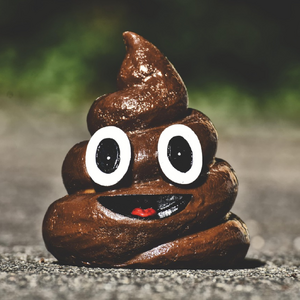 Feces.png