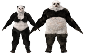 PandaUrsid.png