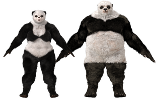 PandaUrsid.png