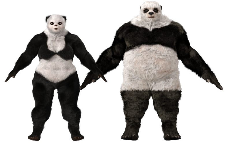 File:PandaUrsid.png