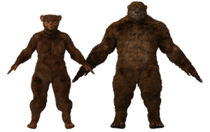 BrawnUrsid.png