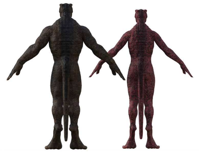 File:Dragorian Back.png