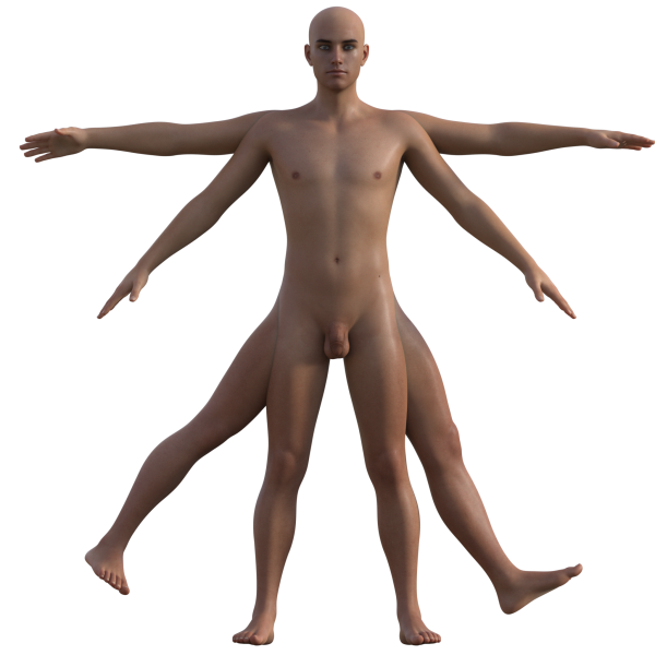 File:VitruvianMan.jpg